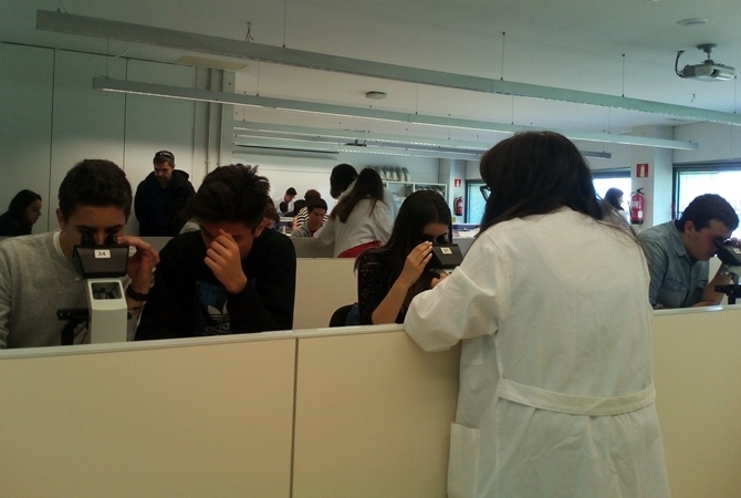 [Img #21011]