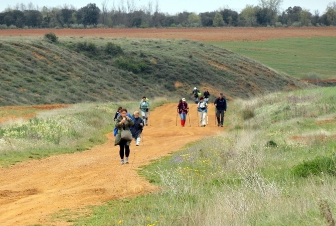 Ruta Jacobea a su paso por el municipio de El Burgo Ranero