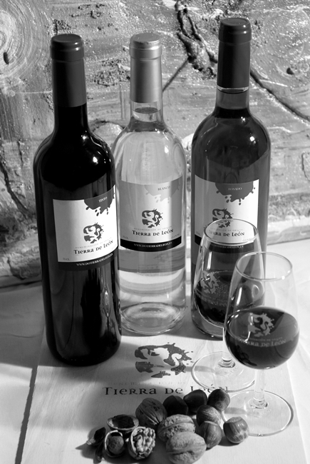 Vinos Tierra de Le&oacute;n