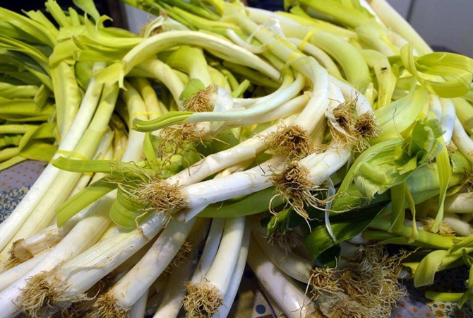 Los puerros, protagonistas de la Feria de San Simón de Sahagún