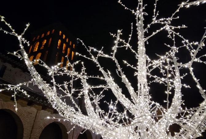 [Img #23422]