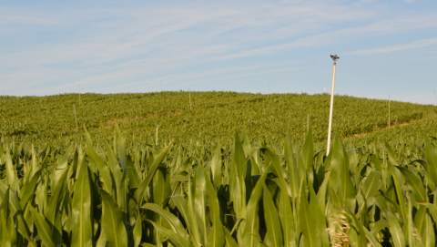 El cambio minimiza los perjuicios que van a sufrir los agricultores