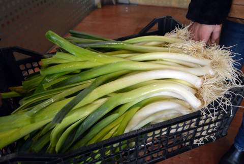 Los concursantes tendrán que guisar una olla con costilla, patata y Puerro de Sahagún
