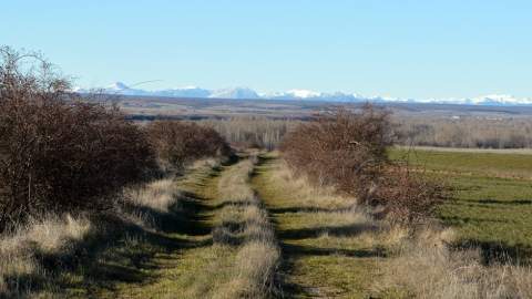 Según se consulten fuentes geográficas, económicas o históricas, la Tierra de Campos leonesa no iría más allá de Sahagún