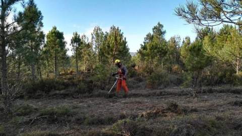 Imagen: Astorga RedAcción