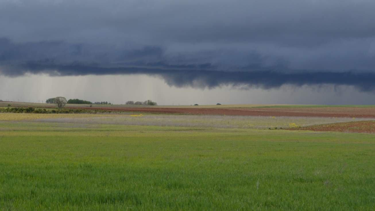 La Junta declara como excepcional la campa&ntilde;a agr&iacute;cola por el impacto de las lluvias
