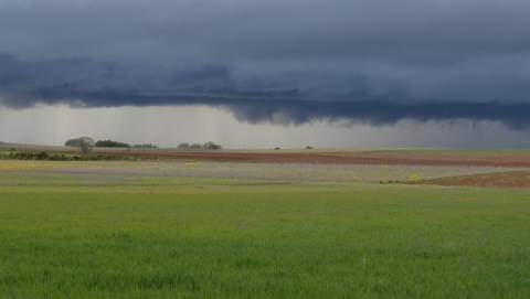 La Junta declara como excepcional la campaña agrícola por el impacto de las lluvias