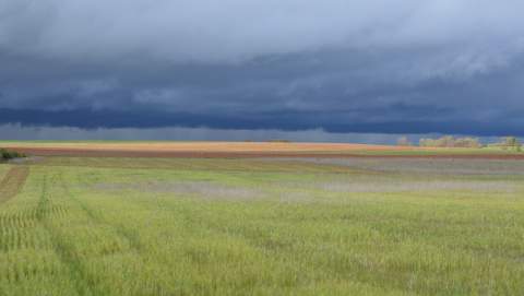 La Junta suaviza las exigencias de la PAC ante el exceso de lluvias en el campo