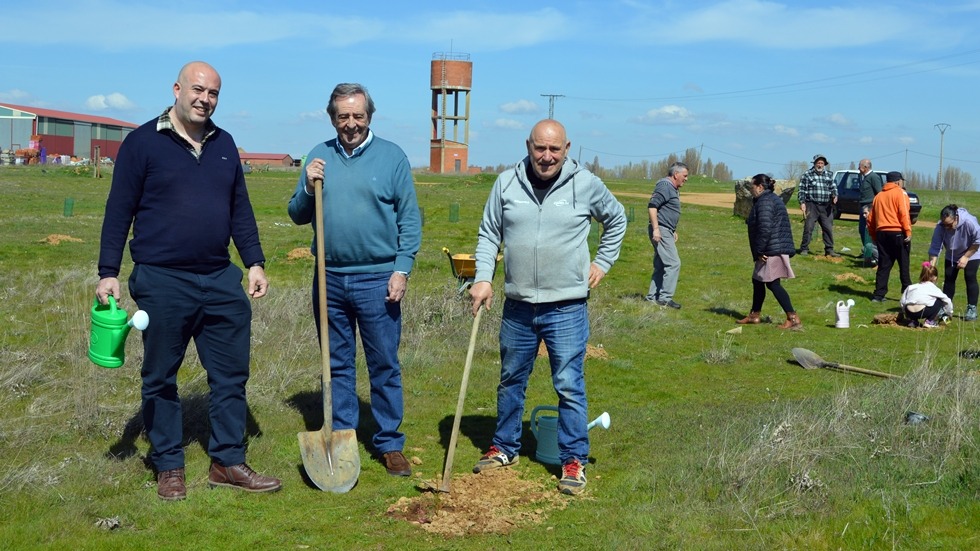 Calzadilla de los Hermanillos suma 75 robles en una nueva fase de su &lsquo;pulm&oacute;n verde&rsquo;