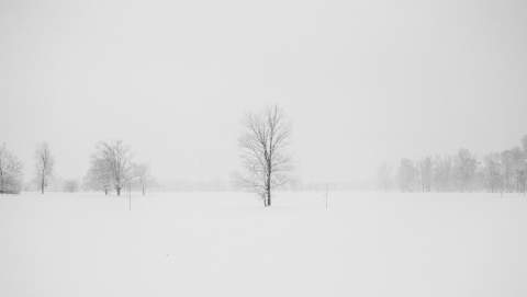 Activado el aviso amarillo por nevadas en la cordillera Cantábrica de León