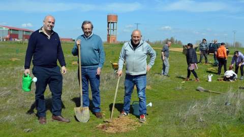Calzadilla de los Hermanillos suma 75 robles en una nueva fase de su ‘pulmón verde’