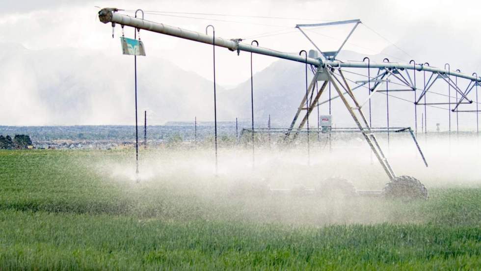 Sahag&uacute;n acoge una jornada t&eacute;cnica para la mejora de la competitividad en el sector agroalimentario