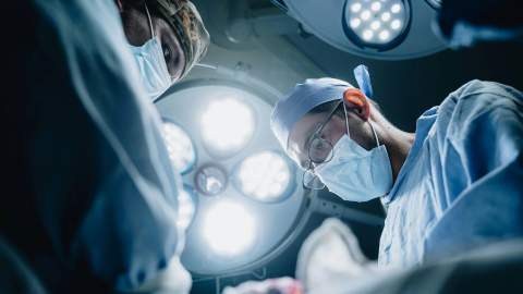 La provincia de León aporta uno de cada cuatro donantes de órganos en la comunidad