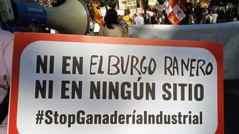 La plataforma Payuelo Libre convoca una protesta contra la macrogranja de El Burgo Ranero ante la inspección de la Confederación Hidrográfica del Duero