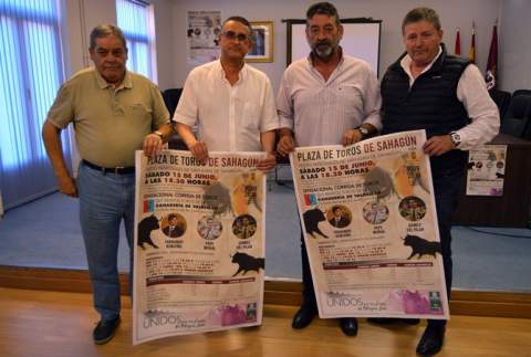 Calvo Arroyo, González Alonso, García de la Viuda y Álvarez Sobrado