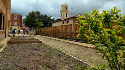 Árboles, hierbas aromáticas, insectos y aves: el nuevo ecosistema del IES Fernando de Castro