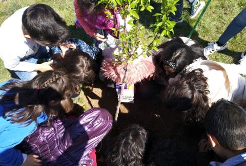 Imagen, de archivo, de una actividad medioambiental en el CEIP Fray Bernardino