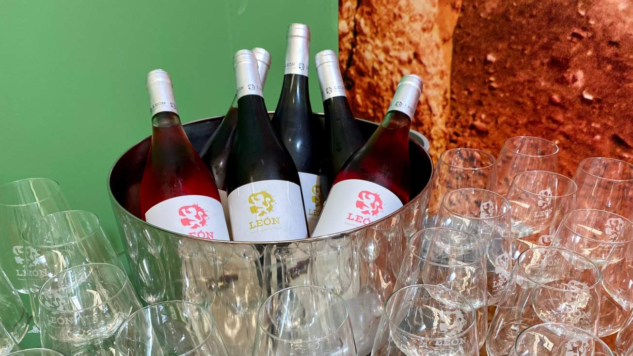 Decanter y el Concurso Mundial de Bruselas premian a los vinos de la DO Le&oacute;n con cinco medallas