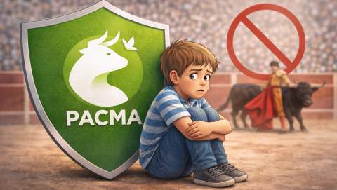 Pacma convoca una movilización en protesta por los festejos taurinos programados en Sahagún y León
