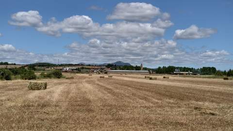 Aprobado el plan de obras en la zona de concentración parcelaria Almanza II