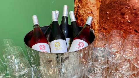 Decanter y el Concurso Mundial de Bruselas premian a los vinos de la DO León con cinco medallas