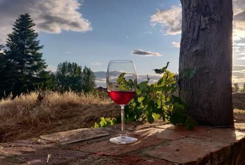 La cultura del vino forma parte de la identidad de Calzada. Imagen: Arturo Encina