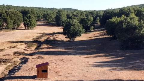 Villamartín cuenta con más de 1.700 hectáreas de monte