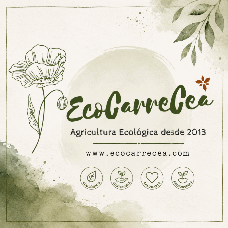 https://ecocarrecea.com/