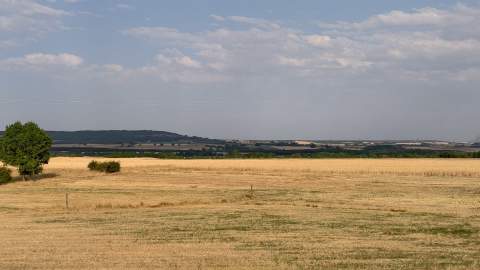La sequía y las olas de calor encarecen los forrajes por la fuerte demanda ganadera