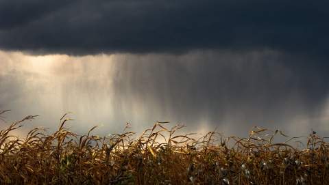 La Junta activa la alerta por tormentas y fuertes rachas de viento
