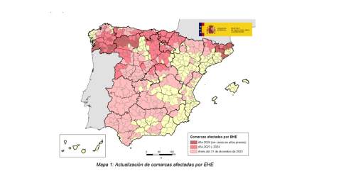 Fuente: Ministerio de Agricultura, Pesca y Alimentación