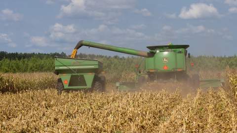 El rendimiento de cereal en la provincia de León supera en un 25 % la media de los últimos cinco años