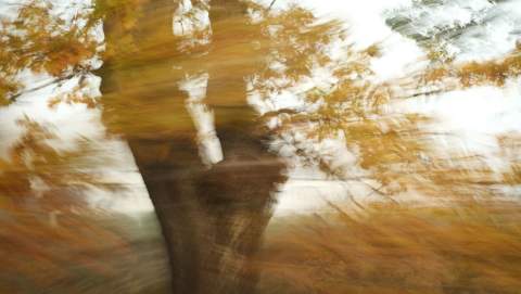 El aire en movimiento