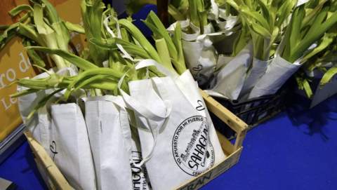 El oro blanco de la huerta comarcal, a concurso