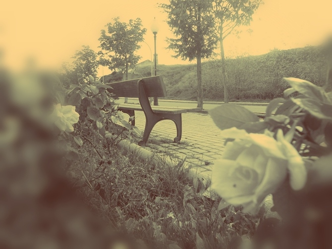 [Img #12179]