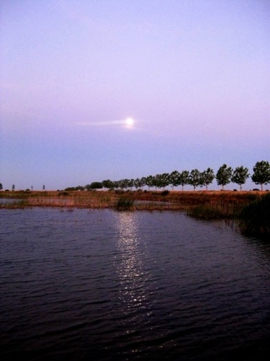 [Img #4033]